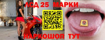 альфа пвп Заводоуковск