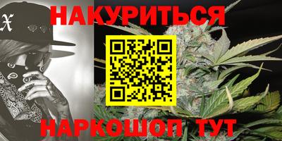 альфа пвп Заводоуковск