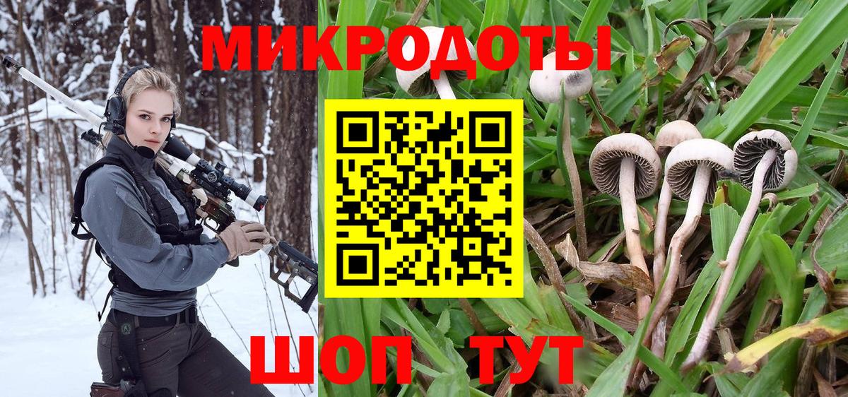 Кимры  Псилоцибиновые грибы Magic Shrooms  Вход с VPN 