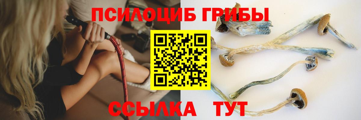 Галлюциногенные грибы ЛСД Кимры